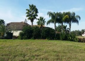Landscaping Lakeland FL